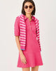 Pink Aster