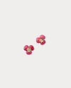 Pink Aster